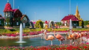 Lake with fountain and flamingo at Dubai miracle garden